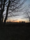 Portrait Scottish Countryside Sunset