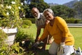 Portrait of senior african american couple spending time in sunny garden together planting flowers