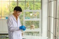 Portrait of senior asian doctor wearing laboratory glasses and blue rubber gloves writing on paper clip board in working room Royalty Free Stock Photo