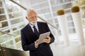 Senior businessman with digital tablet in office Royalty Free Stock Photo