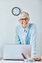 senior businesswoman office work business meeting mature gray hair portrait happy laptop entrepreneur Royalty Free Stock Photo