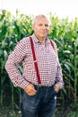 Portrait of Senior Caucasian handsome happy man farmer standing in corn field and smiling to camera. Cheerful male Royalty Free Stock Photo