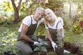 Portrait of senior couple gardeners embracing each other and smiling, sitting in backyard and transplanting flowers