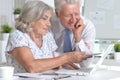 Portrait of senior couple in office working Royalty Free Stock Photo