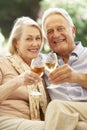 Portrait Of Senior Couple Relaxing On Sofa With Glass Of Wine Royalty Free Stock Photo