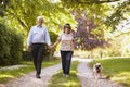 Portrait Of Senior Couple Walking Pet Bulldog In Countryside Royalty Free Stock Photo