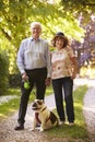 Portrait Of Senior Couple Walking Pet Bulldog In Countryside Royalty Free Stock Photo