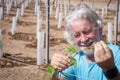 Portrait of a senior farmer man controls carefully the sprouts of his new vineyard smiling happily - active retired elderly people