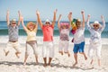 Portrait of senior friends at the beach