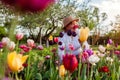 Portrait of senior gardener picking tulips flowers in spring garden. Retired woman smelling bloom. Gardening Royalty Free Stock Photo