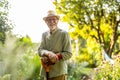 Senior man in the garden at summer day Royalty Free Stock Photo