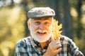 Portrait of a senior man outdoors walking in a park. Happy senior man looking at camera. Autumn and active holidays Royalty Free Stock Photo