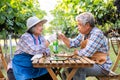 Portrait of senior winemaker holding in his hand a glass of new white wine. Smiling happy elderly couple enjoying a picnic