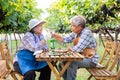 Portrait of senior winemaker holding in his hand a glass of new white wine. Smiling happy elderly couple enjoying a picnic