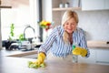 Portrait of senior woman cleaning kitchen counter indoors at home. Royalty Free Stock Photo