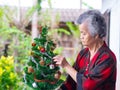 Portrait of senior woman decorating the Christmas tree with colorful ribbons at home. Concept of aged people and festival Royalty Free Stock Photo