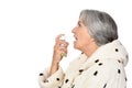 Portrait of a senior woman Royalty Free Stock Photo