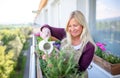 Senior woman gardening on balcony in summer, watering plants.