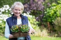 Portrait Of Senior Woman Working In Garden Royalty Free Stock Photo