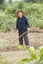 Portrait of a senior woman in working