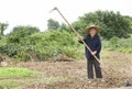 Portrait of a senior woman in working