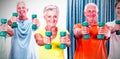 Portrait of seniors exercising with weights Royalty Free Stock Photo