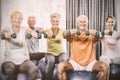 Portrait of seniors using exercise ball and weights Royalty Free Stock Photo