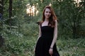 portrait of sensual young woman in a black dress in the forest. freedom, loneliness. nature loving Royalty Free Stock Photo