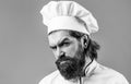 Portrait of a serious chef cook. Bearded chef, cooks or baker. Bearded male chefs isolated. Black and white Royalty Free Stock Photo