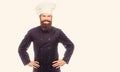 Portrait of a serious chef cook. Bearded chef, cooks or baker. Bearded male chefs isolated. Cook hat Royalty Free Stock Photo