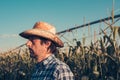 Portrait of serious farmer in corn field