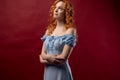 Portrait of a sexy red-haired woman with long hair on a red background. Royalty Free Stock Photo