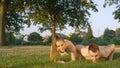 PORTRAIT: Shirtless man with tattoo does push ups while woman holds a plank.