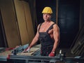 Portrait of shirtless muscular carpenter.