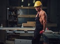 Portrait of shirtless muscular carpenter.