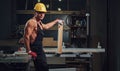 Portrait of shirtless muscular carpenter.