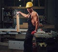 Portrait of shirtless muscular carpenter.