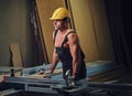 Portrait of shirtless muscular carpenter.