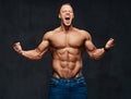 Portrait of shirtless muscular male in a jeans. Royalty Free Stock Photo