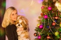 Portrait shot of smiling woman holding a cute puppy in her hand while standing indoornext to the christmas tree. Christmas time Royalty Free Stock Photo