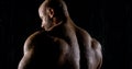 Portrait with shoulders of a brutal muscular bald male bodybuilder close-up on a black background, view from the back Royalty Free Stock Photo