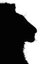 Portrait Silhouette of Large Lion Head