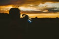 Portrait of a silhouette of a young tourist woman drinking water from a transparent blue bottle in a field, jars at sunset. The gi Royalty Free Stock Photo