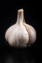 Portrait of single garlic with black cloth with a glass mat