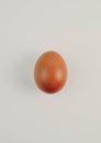 portrait of a single red chicken egg on white background Royalty Free Stock Photo