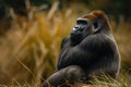 Portrait of sitting gorilla in wilderness Royalty Free Stock Photo