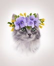 Portrait of sitting gray kitten with floral wreathe on beige background
