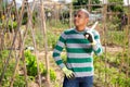 Skillful Colombian gardener with hoe at smallholding Royalty Free Stock Photo