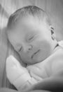 Portrait of sleeping baby Royalty Free Stock Photo
