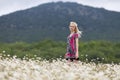 Portrait of slim girl in light dress in chamomile field against mountain Royalty Free Stock Photo